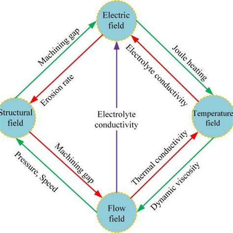 Multi-physics coupling relationship of electrochemical machining ...