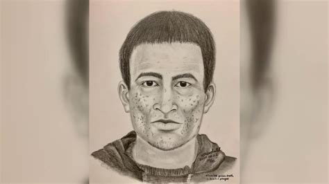 Police release sketch of La Ronge, Sask. sexual assault suspect ...