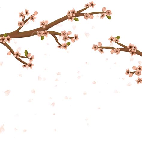 Cherry Blossoms PNG Picture, Cherry Blossom In Korea, Sakura, Cherry Blossom, Flower PNG Image ...