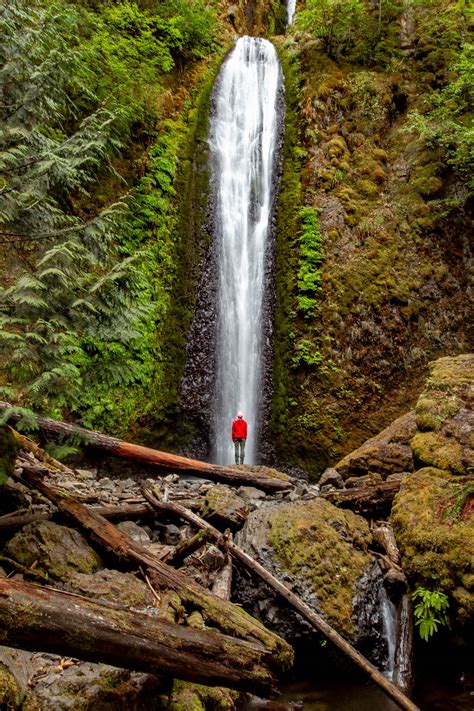 20 WILDLY Beautiful Oregon Waterfalls Worth the Hype (Guide)