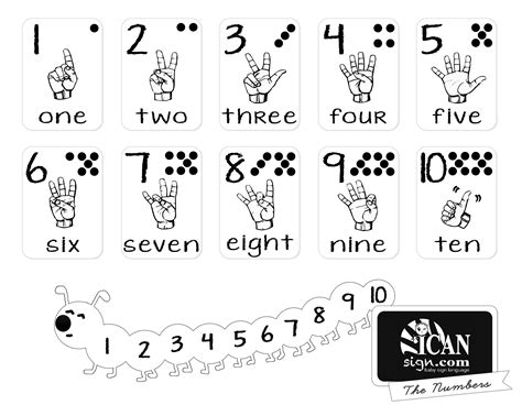 Printable Asl Numbers - Printable Word Searches