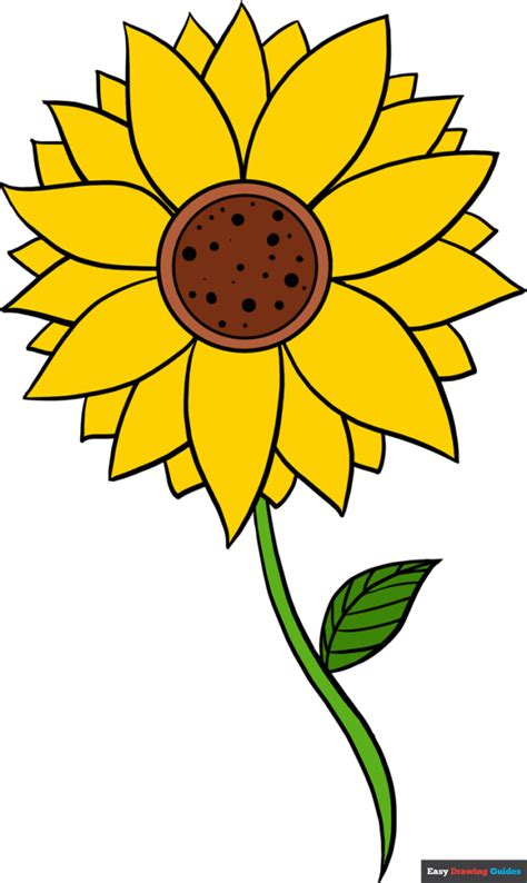 Sunflower Drawing Ideas | Best Flower Site