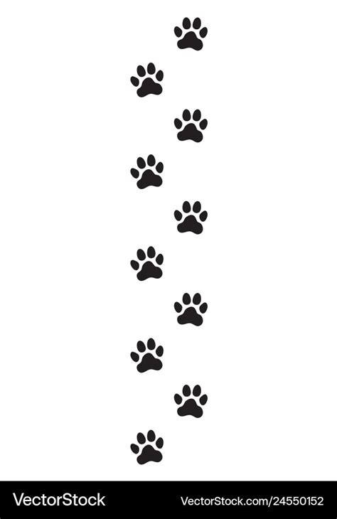 Animal dog cat paw prints Royalty Free Vector Image