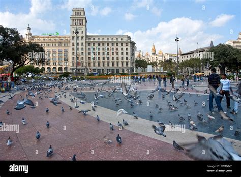 Pigeons at Plaza Catalunya. Barcelona. Spain Stock Photo - Alamy