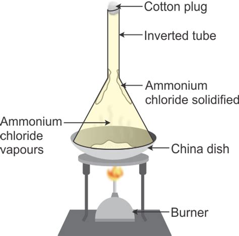 With the help of a labelled diagram, describe in brief an activity to ...