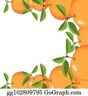 60 White Background With Border Of Oranges Fruits Clip Art | Royalty Free - GoGraph