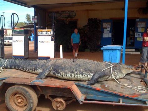 The Paddock: Borroloola (Northern Territory)