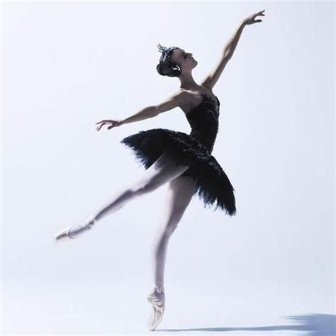 black swan | Australian ballet, Dance photography, Ballet beautiful