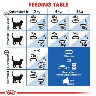 Indoor Appetite Control (4kg) | Royal Canin Cat Food | Lords & Labradors