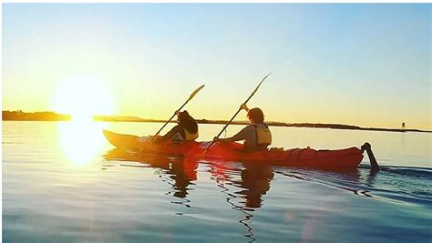 Kayak Tours