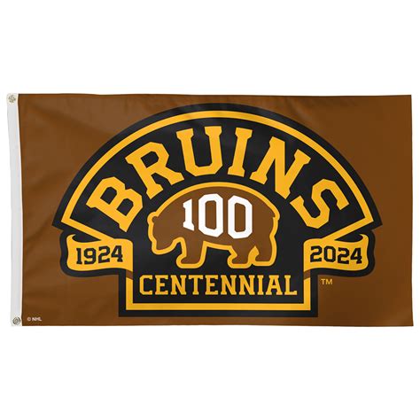 Bruins Centennial Logo Brown 3 x 5 Flag