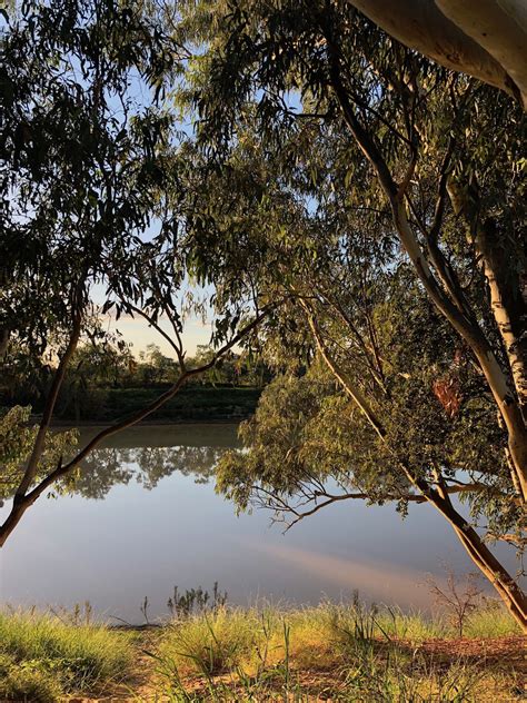 Old Cork Station, Diamantina River | A Ghost From The Past | Summer camping photography ...