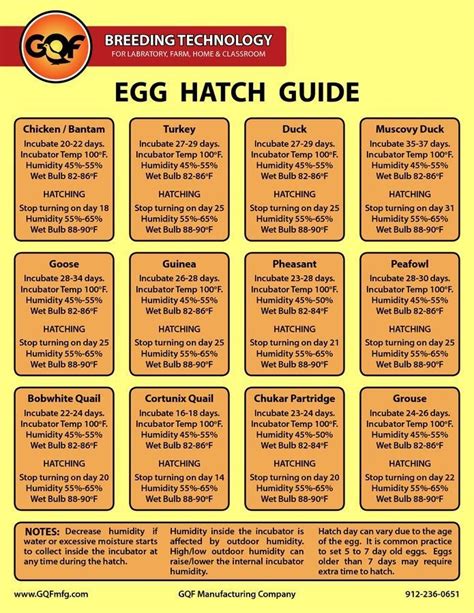 Egg Incubator Temperature And Humidity Chart