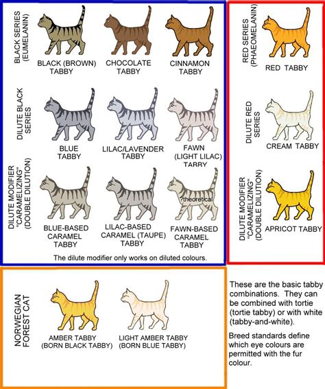 Tabby Colours Chart | An approximation of the tabby colours,… | Flickr