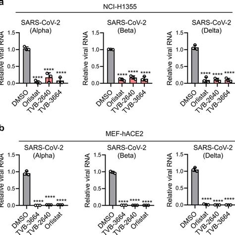 Fatty acid synthase inhibitors suppress the replication of SARS-CoV-2... | Download Scientific ...