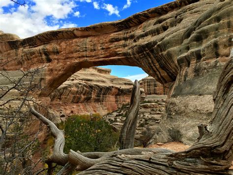 Natural Bridges National Monument - Beyond