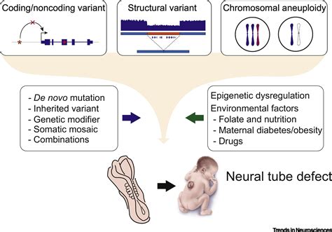 Paraxial Deficiency