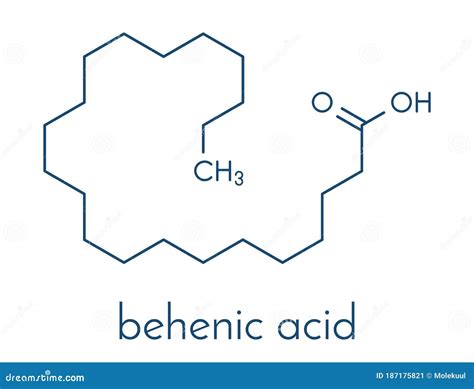 Behenic Acid Docosanoic Acid Saturated Fatty Acid Molecule. Skeletal Formula. Cartoon Vector ...