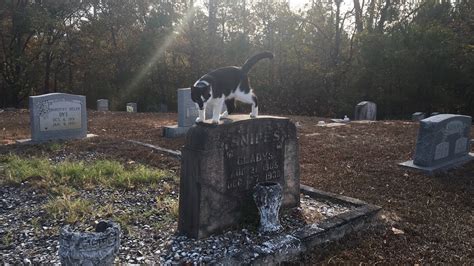 Gladys Presley Grave Site / Elvis Presley Grave Photos Free Royalty ...