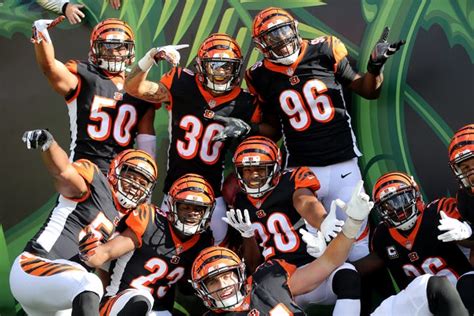 Bengals defense limps to bye week after meltdown against Buccaneers