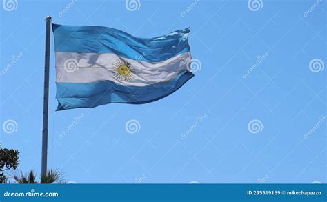 Argentina National Blue White Flag Stock Video - Video of insignia ...