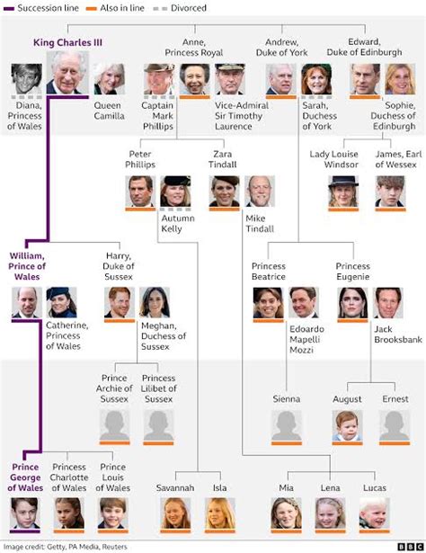 KING CHARLES' FUNERAL PLANS UNDER WAY, AS HE BATTLES PANCREATIC CANCER - Abuja Reporters