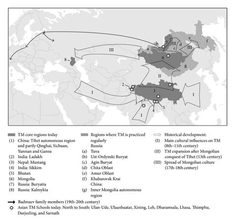 Tibetan Medicine: A Systematic Review of the Clinical Research Available in the West