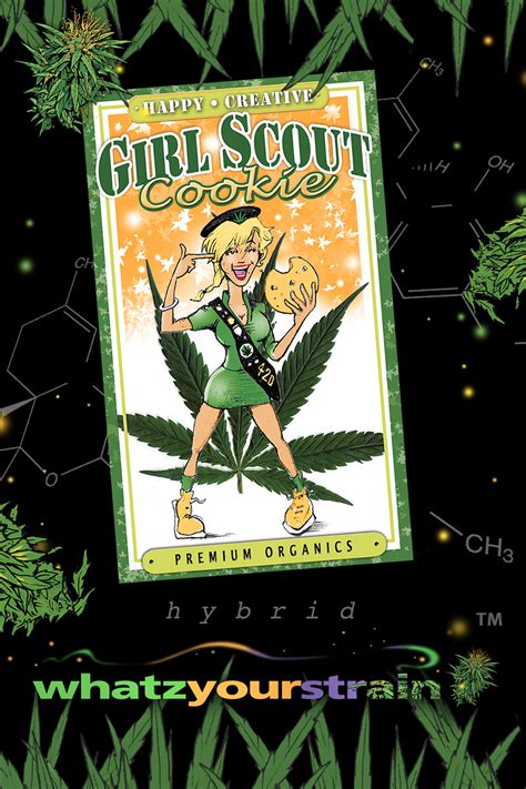 Marijuana Strain Girl Scout Cookies – Girl Scout Cookies Strain Grow Info