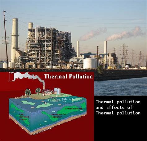 Water Pollution Effects Blog 2015: Thermal pollution and Effects of Thermal pollution