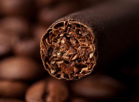 Closeup of cigar stock photo. Image of luxury, smoke - 29184894