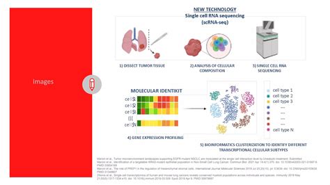 Pulmonary molecular oncology | PPT | Free Download