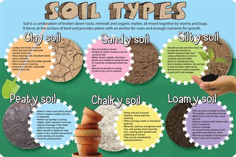 Soil Types | Inspirational Group