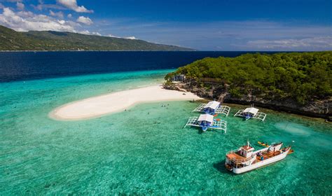 Oslob Cebu Travel Guide: More Than Just White Sharks