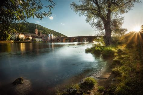 At the Neckar river, Heidelberg, Germany