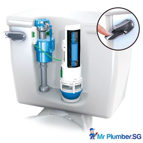 Different Types of Flush Systems In Singapore - Mr Plumber Singapore ...