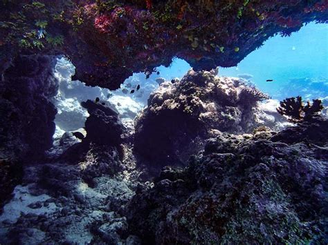 vanuatu-great-snorkeling-3 – Two At Sea