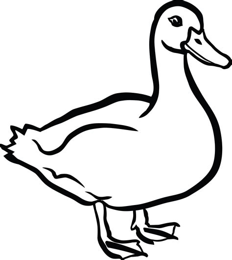 Outline Of A Duck | Free download on ClipArtMag