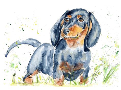 Dachshund Sausage Dog Art Print - Sausage Dog Gifts - Watercolour ...