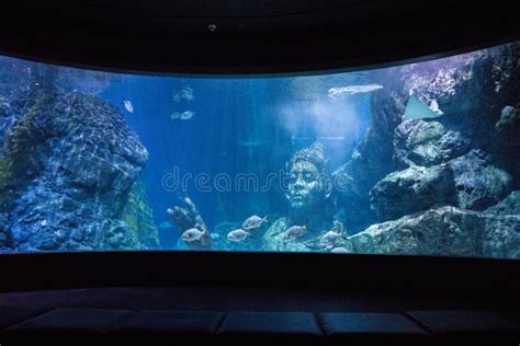 Sea Life Bangkok Ocean World Aquarium in the Shopping Center of Siam Paragon Stock Image - Image ...