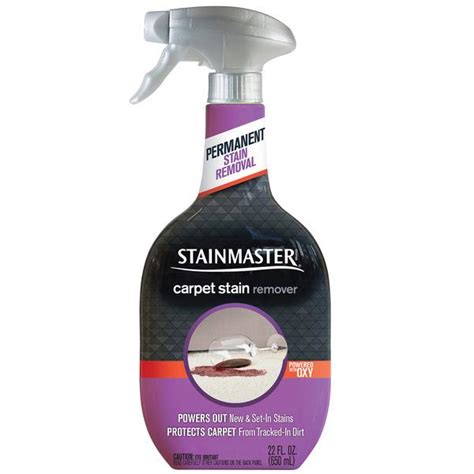 Stainmaster Carpet Stain Remover Spray, 22 OZ, 6 CT | Hy-Vee Aisles Online Grocery Shopping