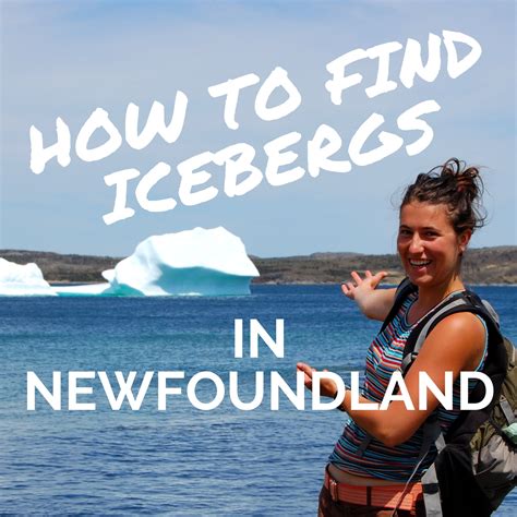 How to find icebergs in Newfoundland - Wildly Intrepid