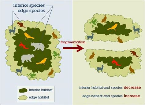 Full Spectrum Biology: One Chance to Get It Right: Human Impacts on ...