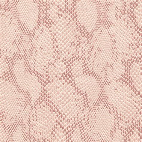 Pink Snakeskin Wallpapers - Top Free Pink Snakeskin Backgrounds ...