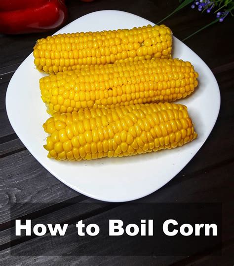 How to Boil Corn on the Cob: 10 Easy Steps - How-to-Boil.com