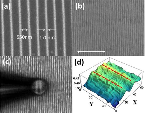 12: (a) SEM image of the sample. (b) Optical microscope image. The ...