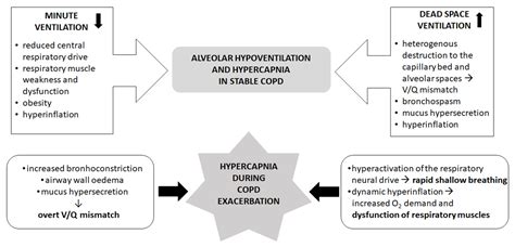 JCM | Free Full-Text | Hypercapnia in COPD: Causes, Consequences, and ...