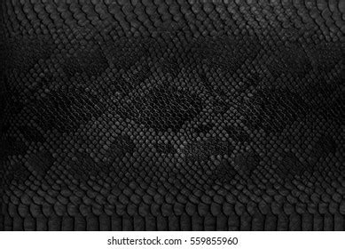 Black Snake Skin Texture