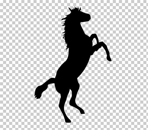 Free Bronco Cliparts, Download Free Bronco Cliparts png images, Free ...