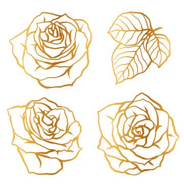 Gold Rose Outline Images – Browse 8,731 Stock Photos, Vectors, and ...