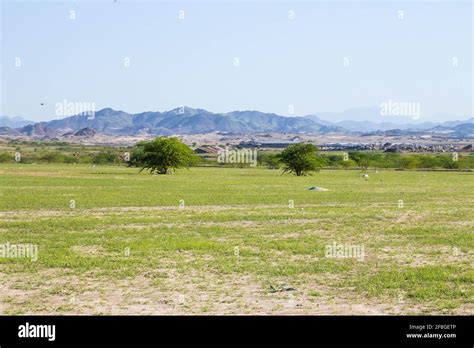 saudi arabia desert landscape Stock Photo - Alamy